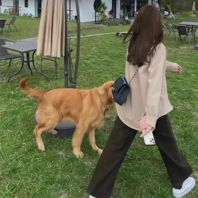 年轻的卡尔·马克思